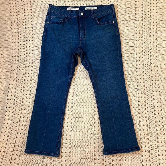 Pilcro and the Letter Press for Anthropologie High-Rise Bootcut Jeans Size 32 - Picture 1 of 12